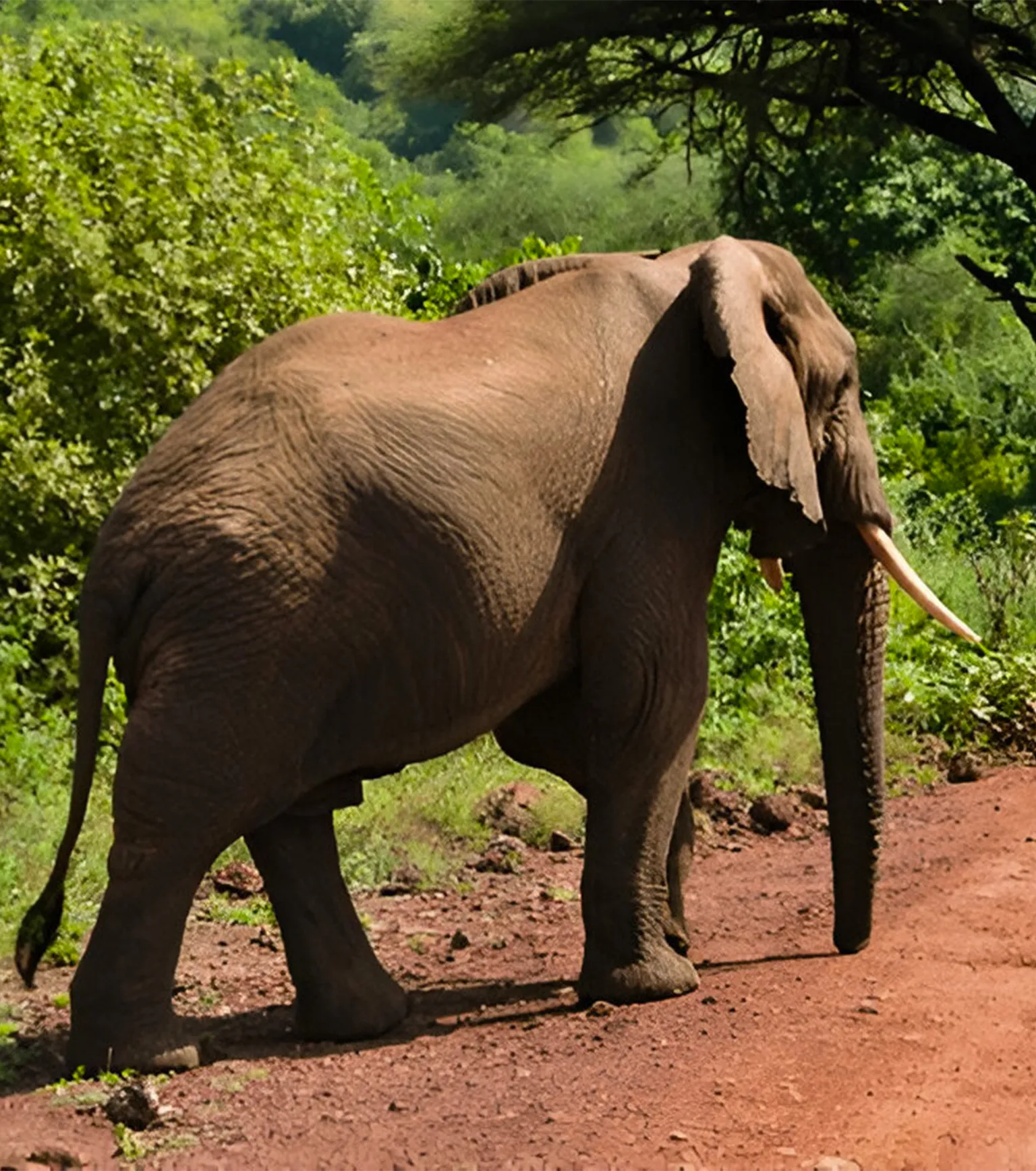 Cultural Tours in Manyara
