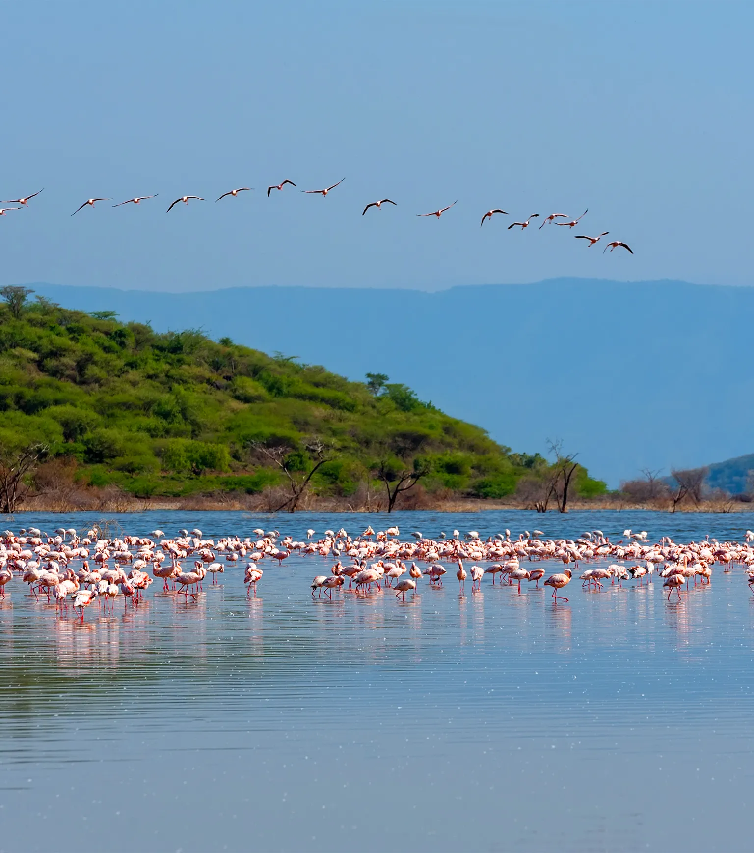 Birdwatching at Manyara