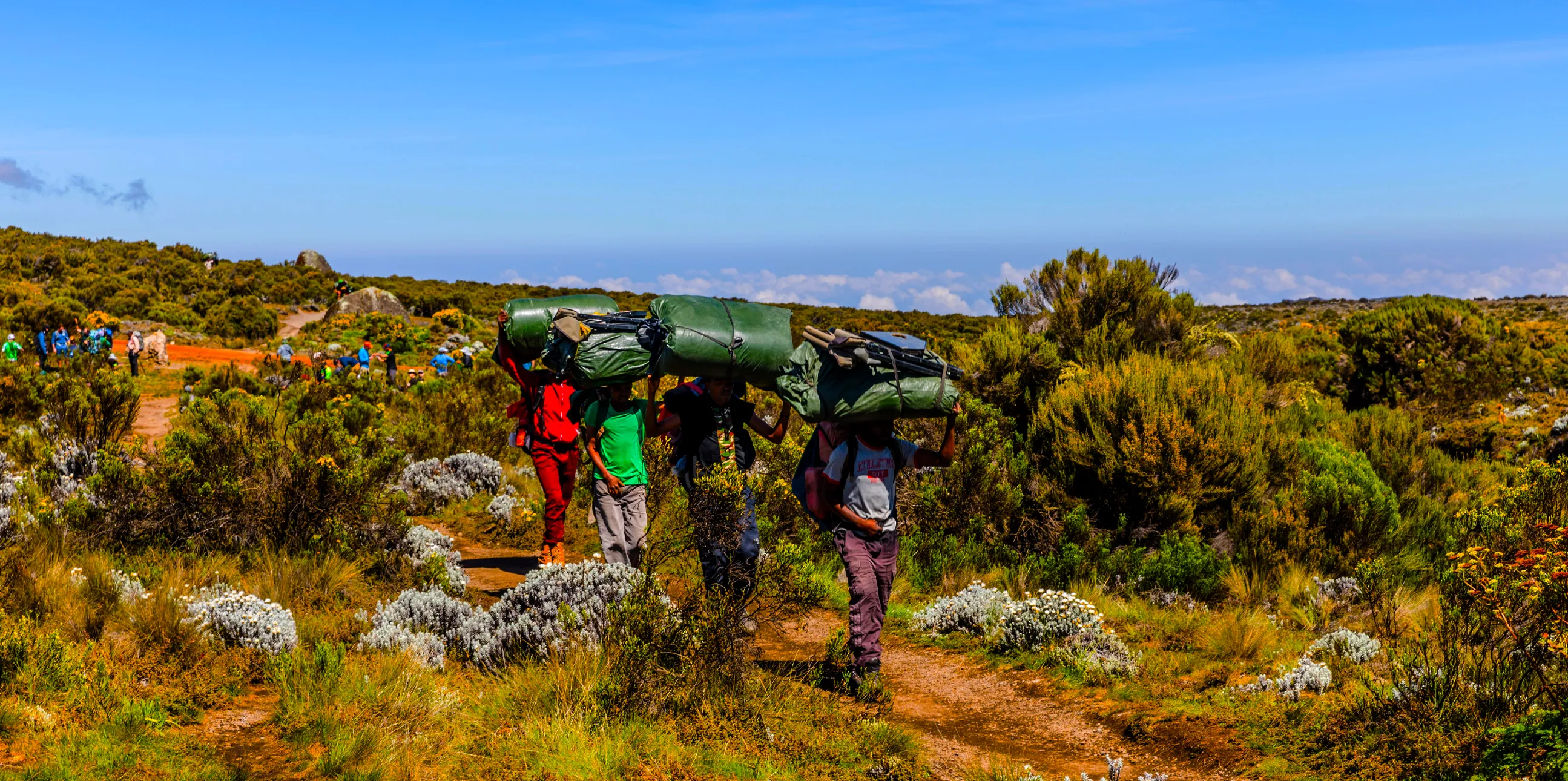 Lemosho Route
