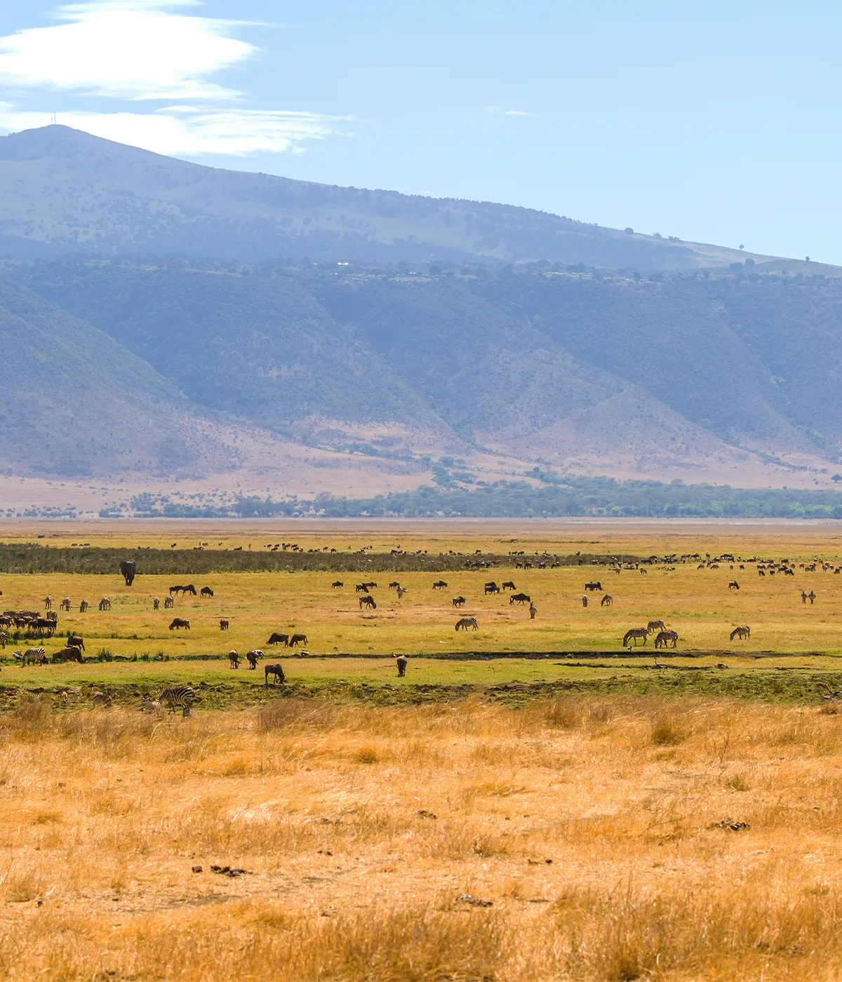 Ngorongoro Crater