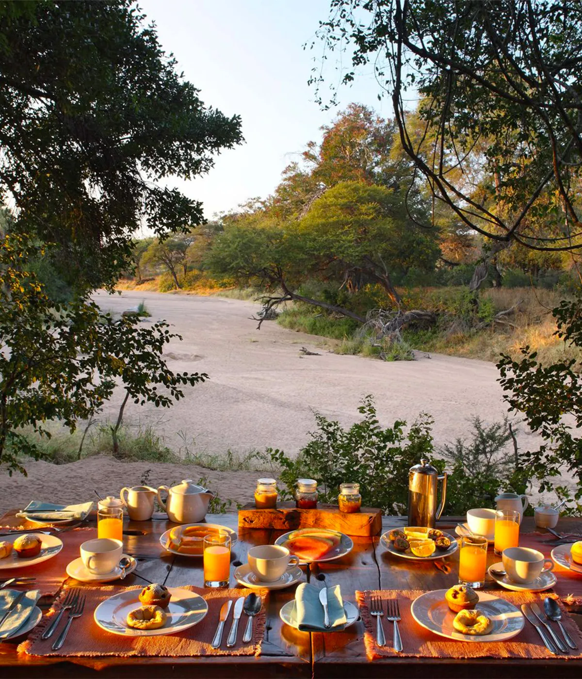 Southern Tanzania Parks