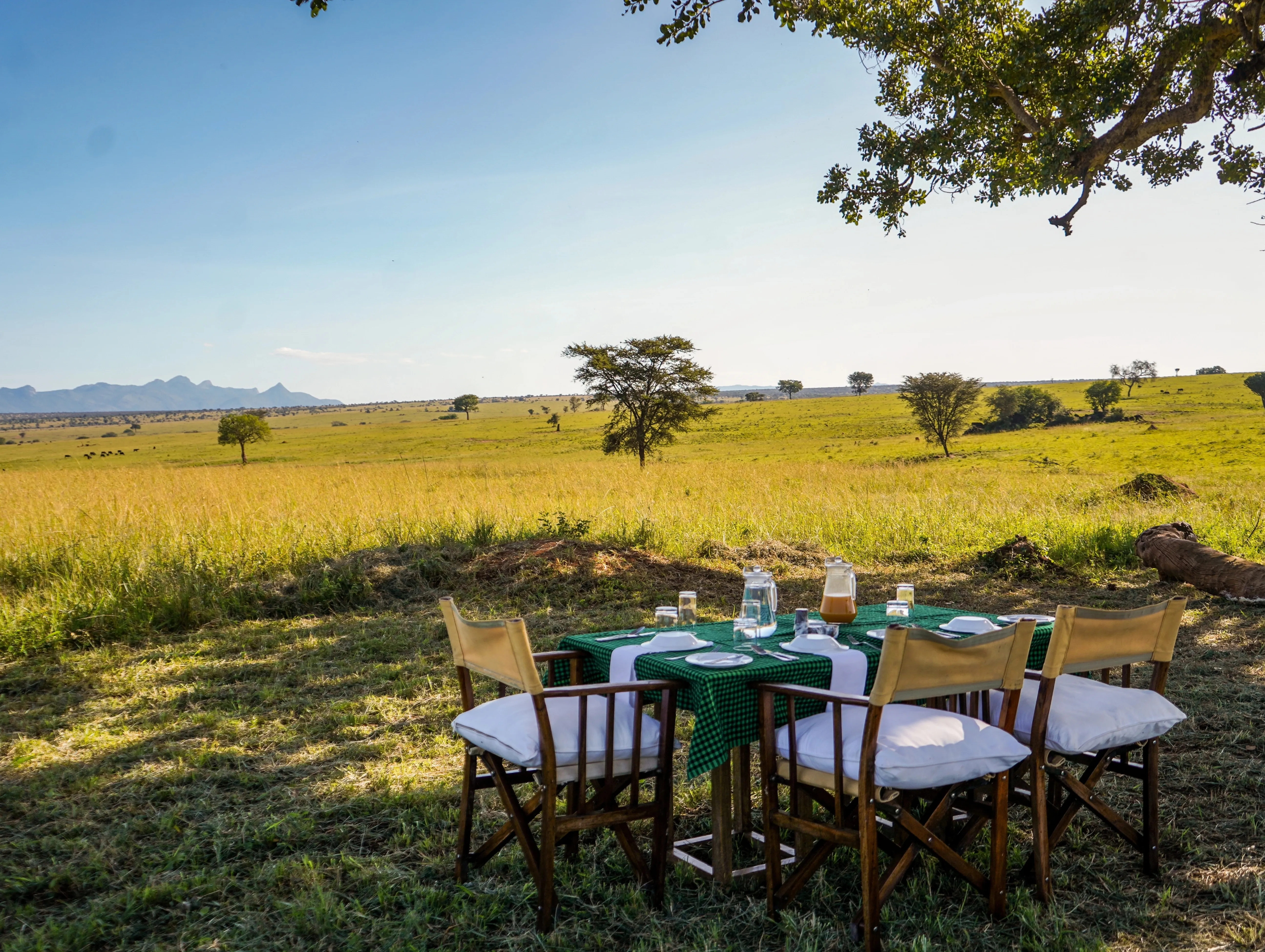 Serengeti Luxury Safari Cost
