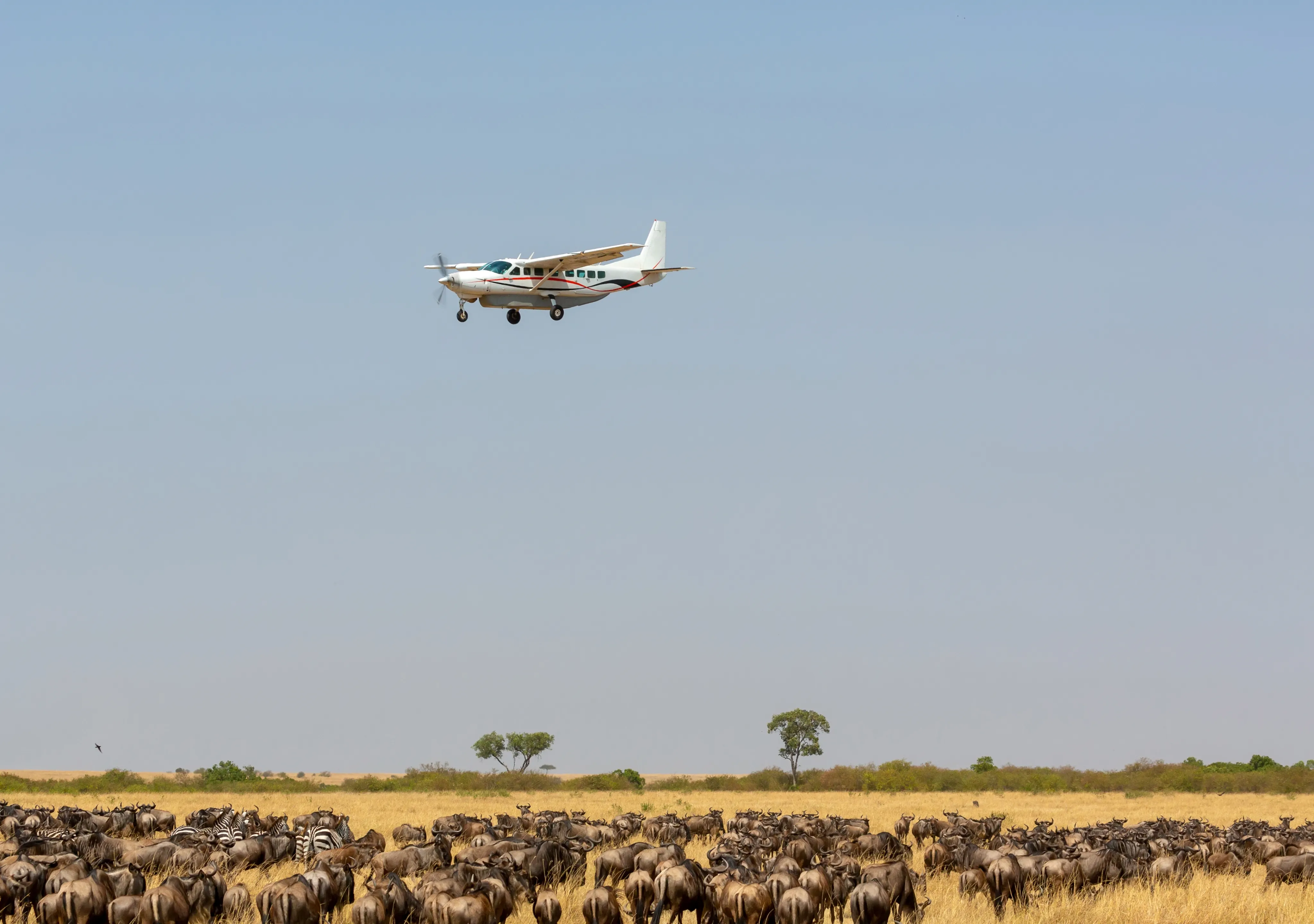 Serengeti Safari Price