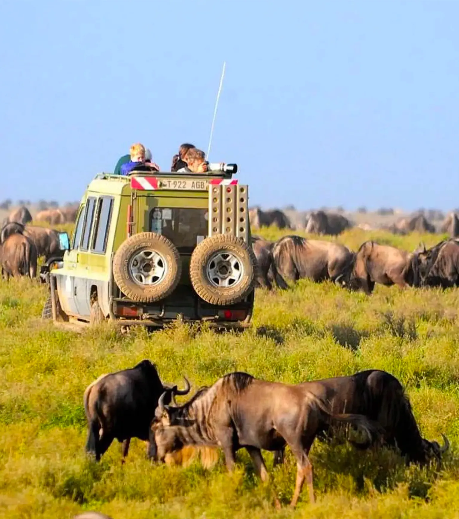 Serengeti Game Drives