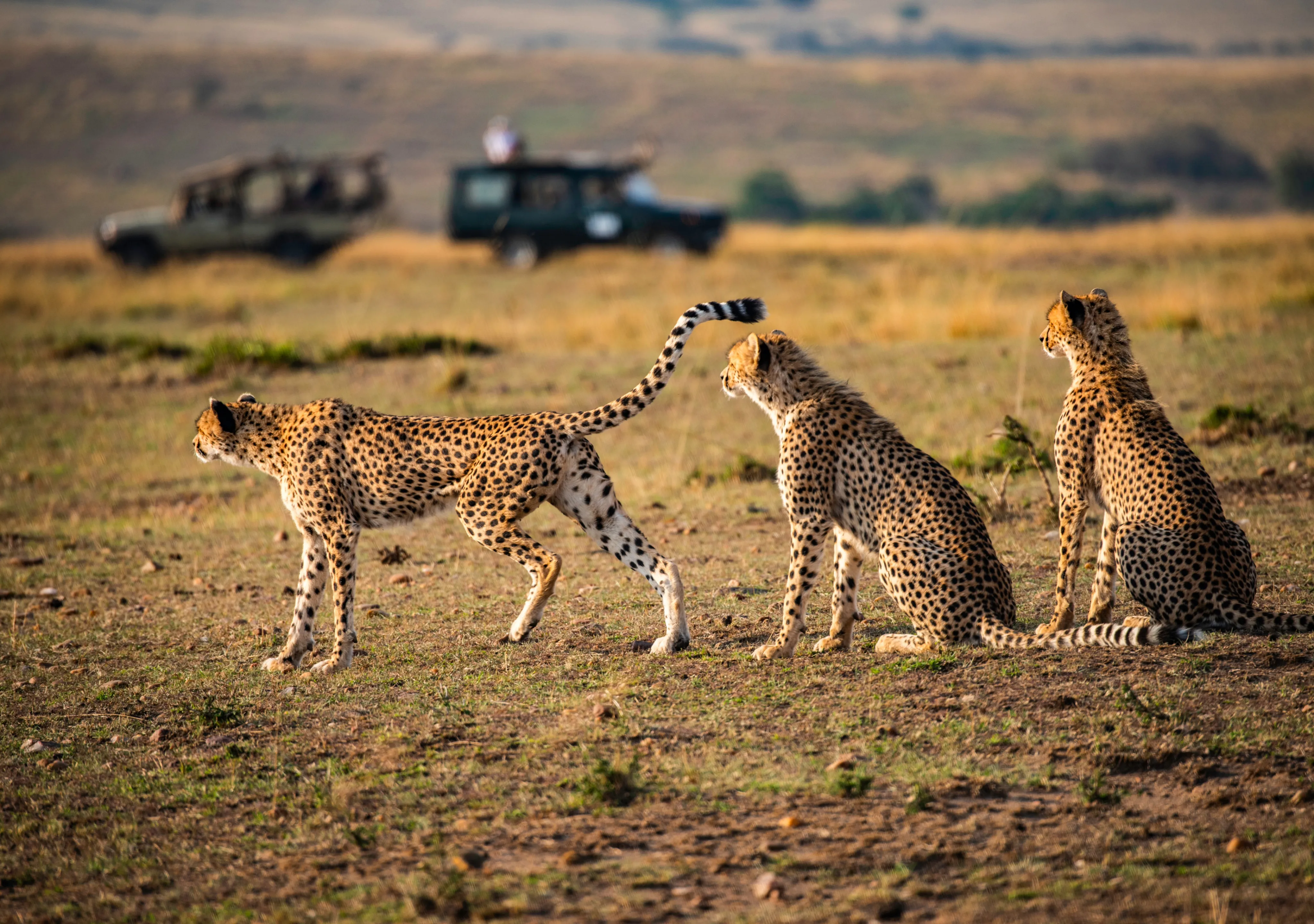 Tanzania Destinations Tanzania Destinations