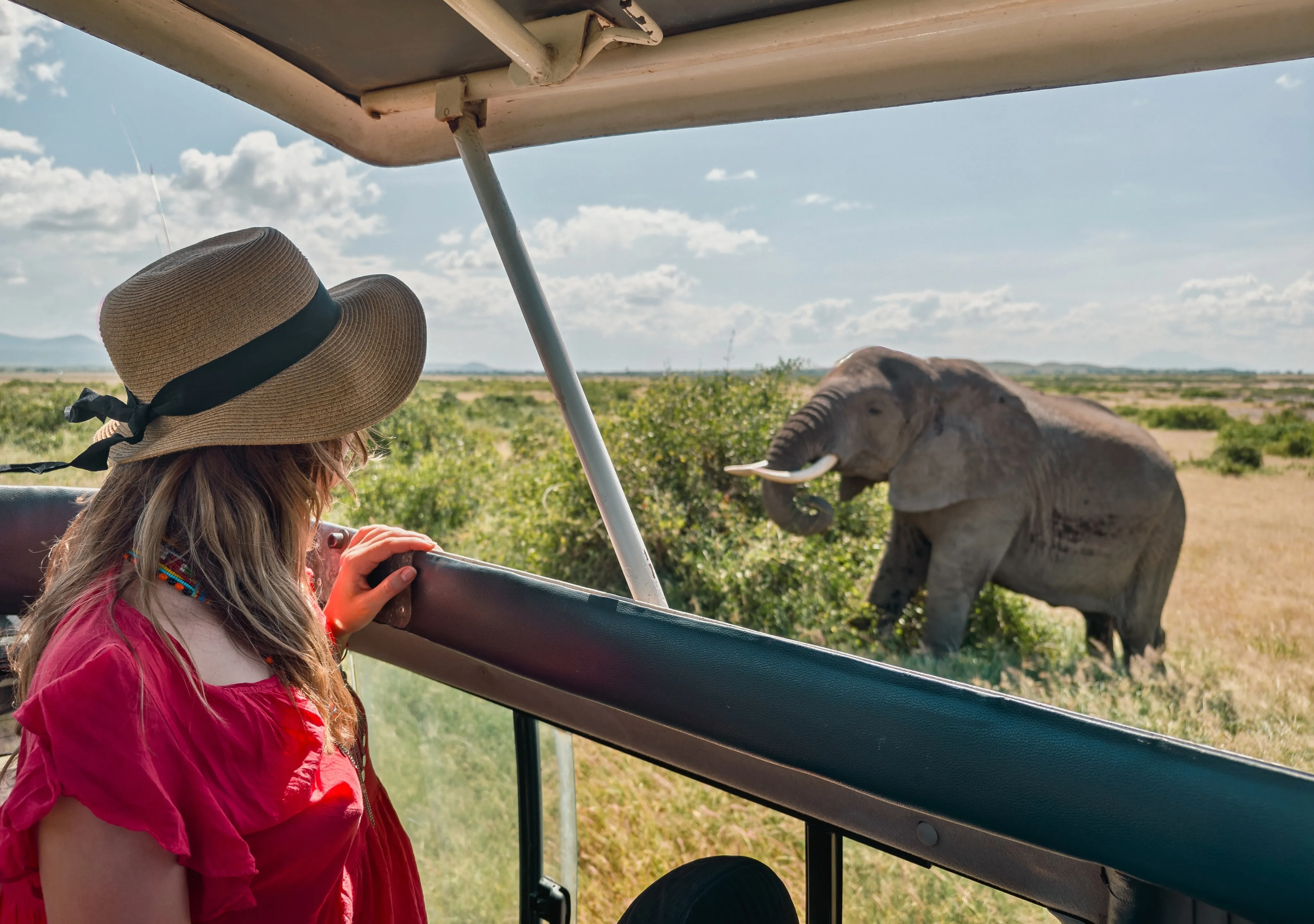 Tanzania Private Tour Packages Tanzania Private Tour Packages