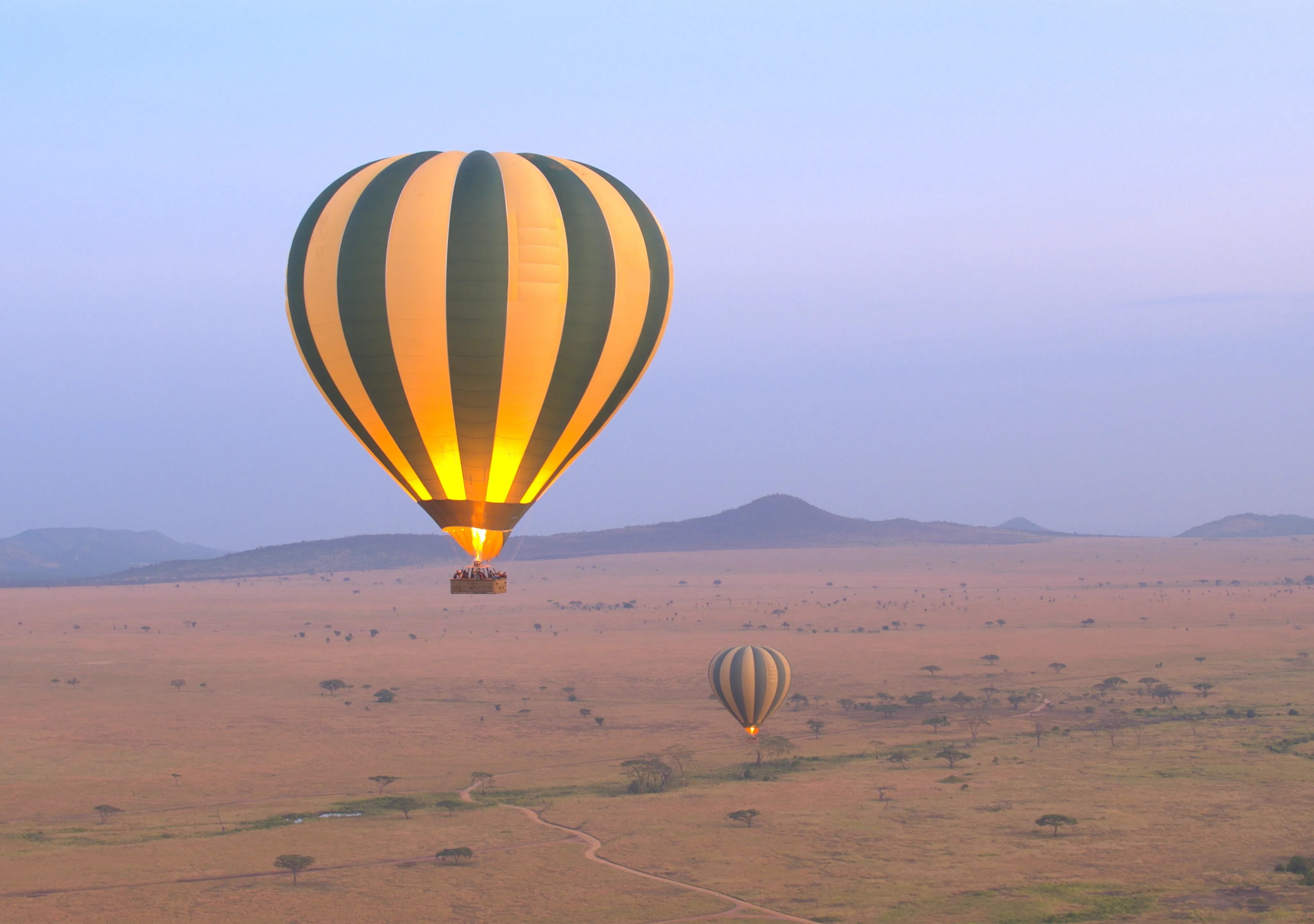 Average Cost Of Safari In Tanzania