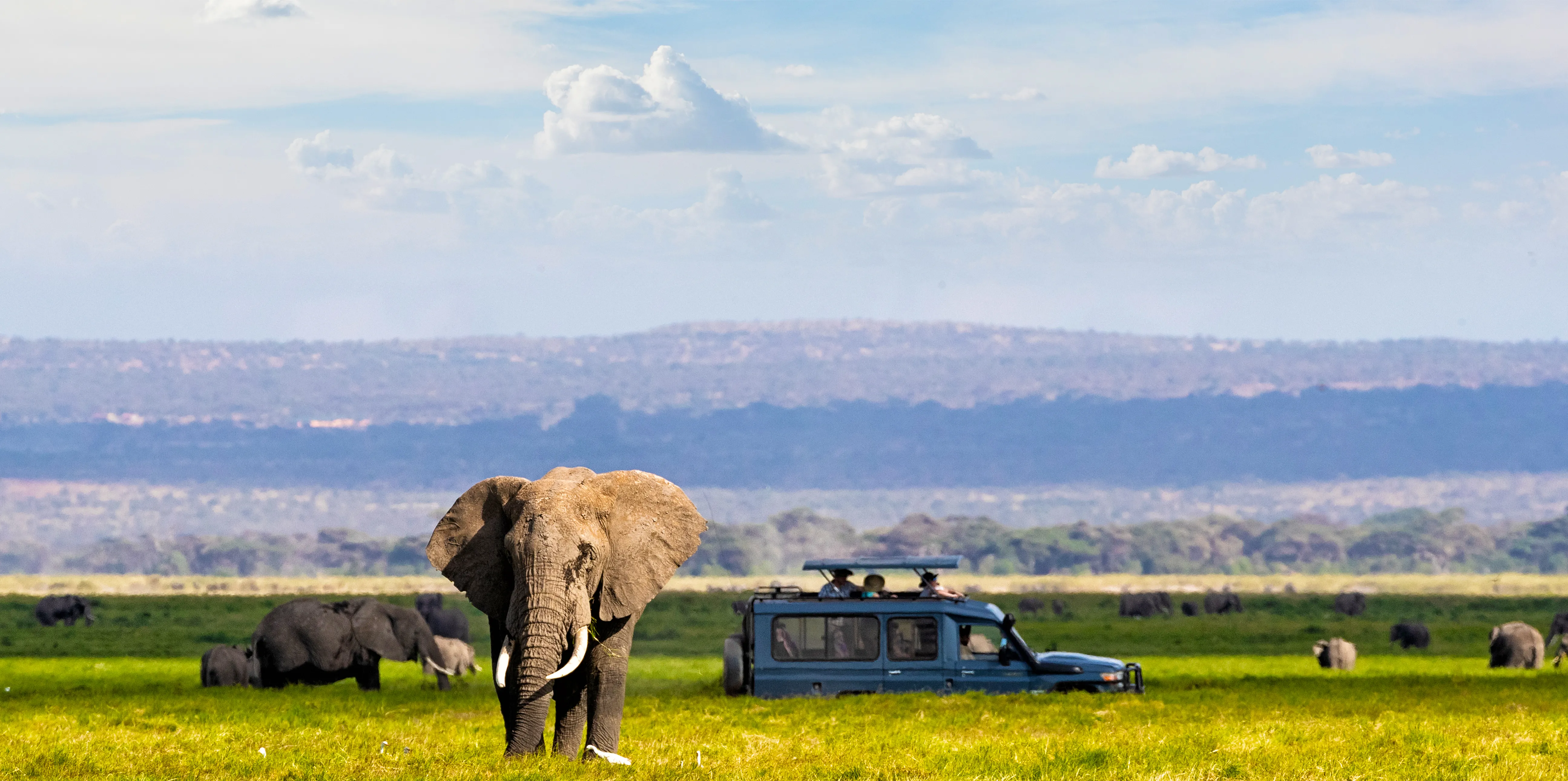 Tanzania Safari Cost