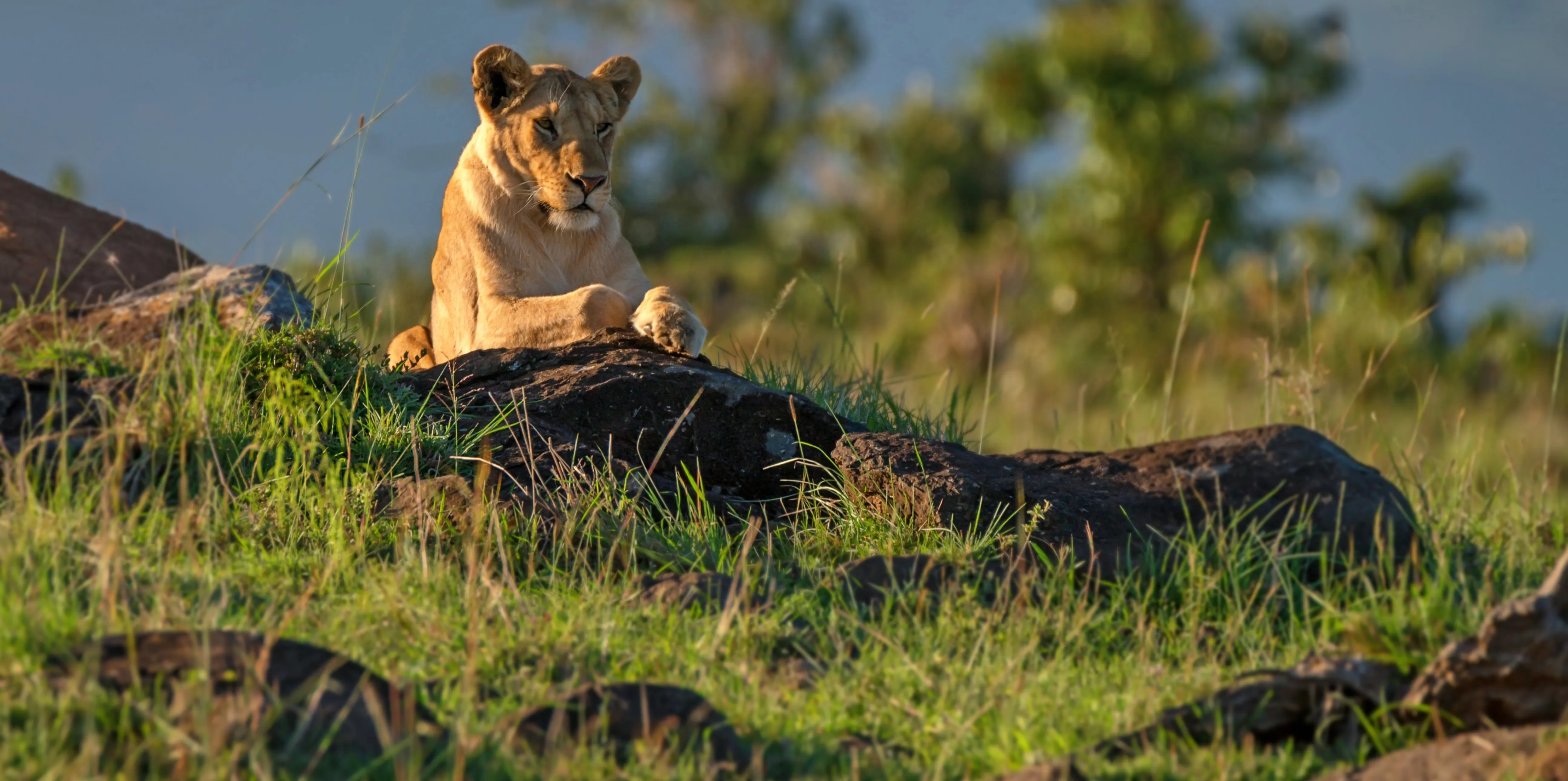 What to Do in Tanzania