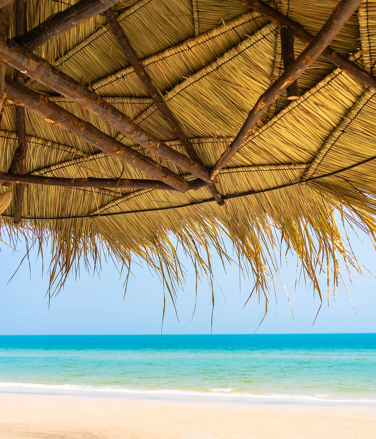 Zanzibar Travel Packages